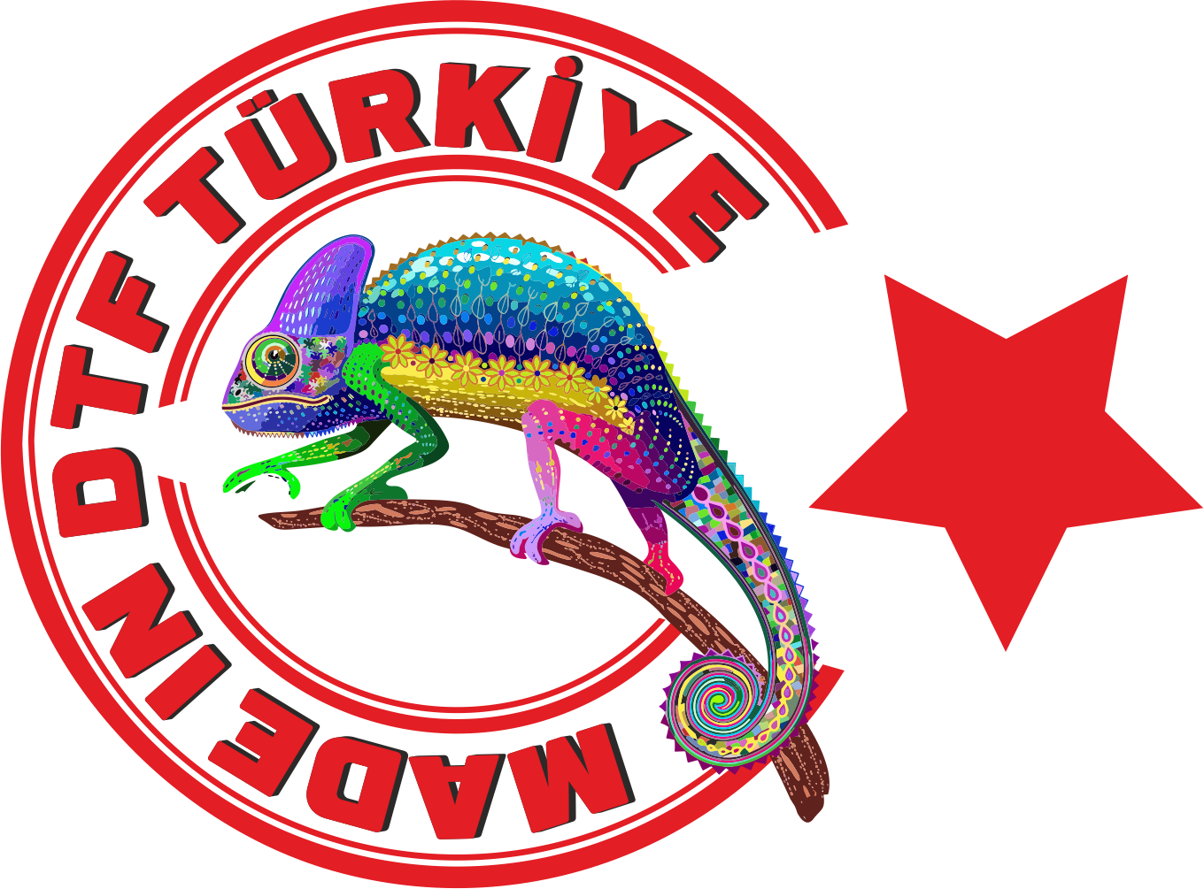 DTF TÜRKİYE